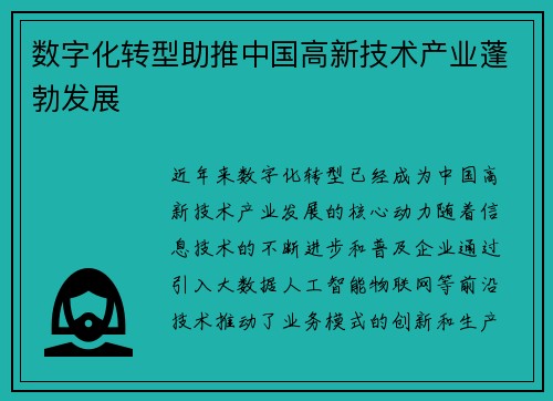 数字化转型助推中国高新技术产业蓬勃发展